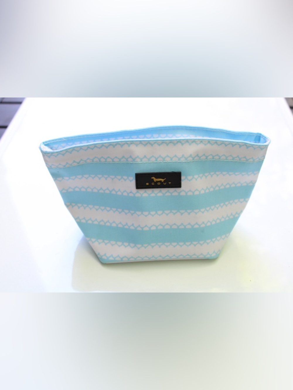 Scout make up bag